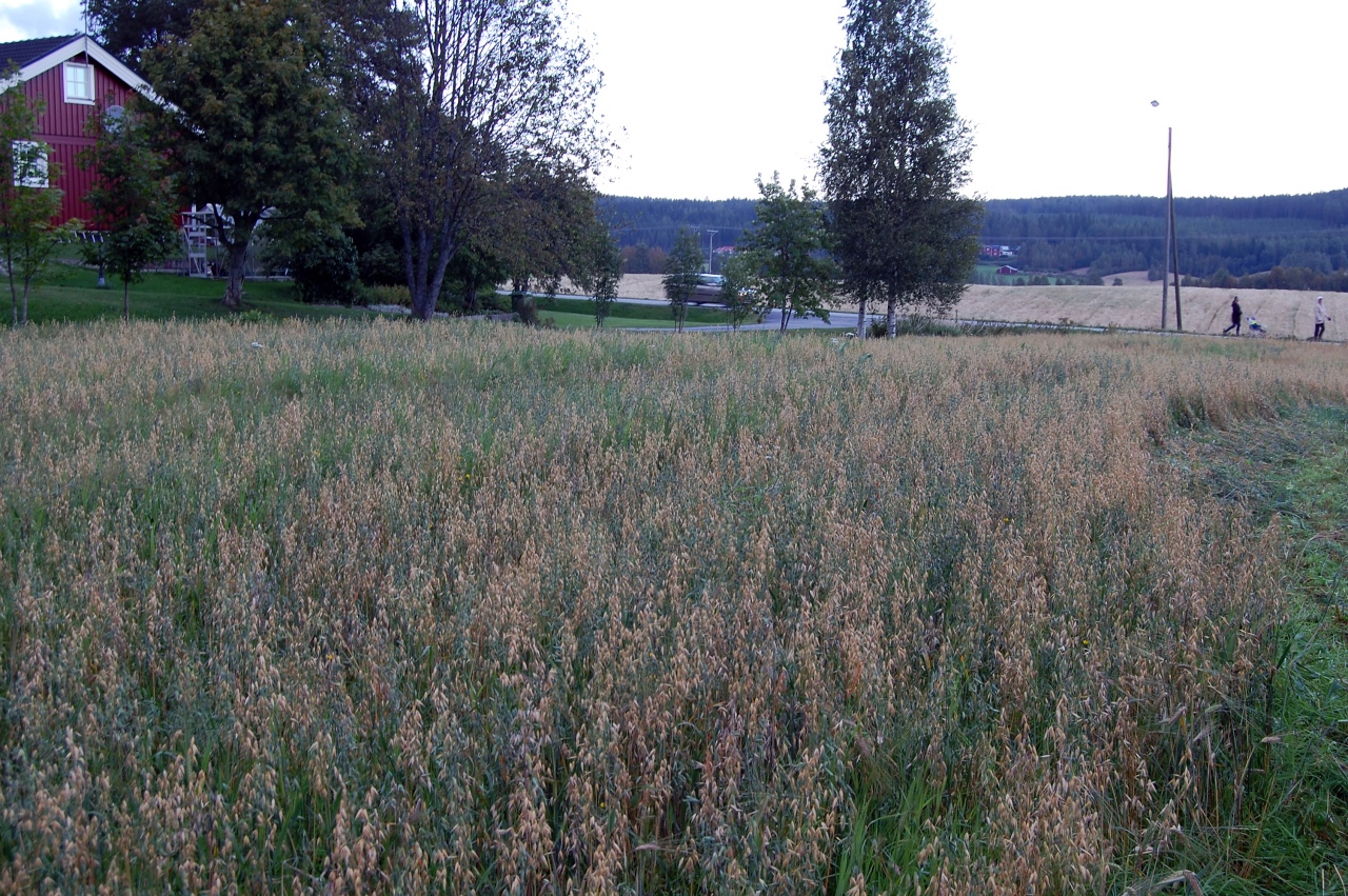 20090904-0002
